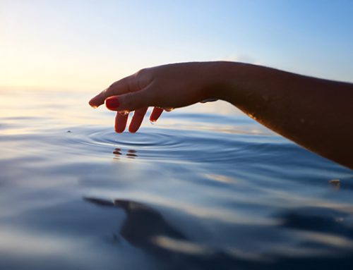 Émotions et sensations dans le corps